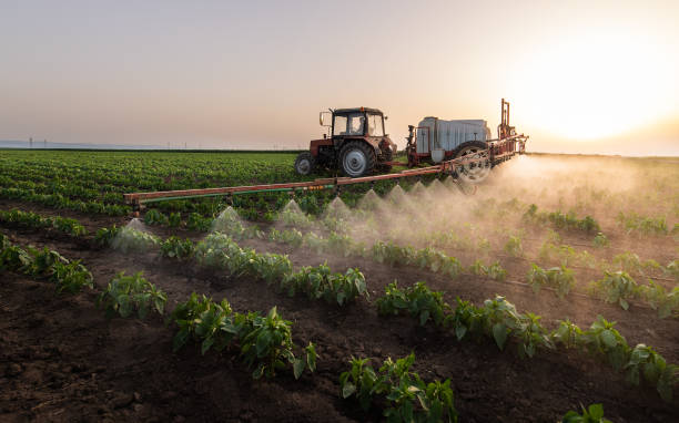 Pest Prevention Services in South Whittier, CA