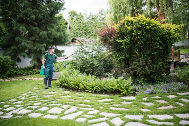 Best Bird Control  in South Whittier, CA