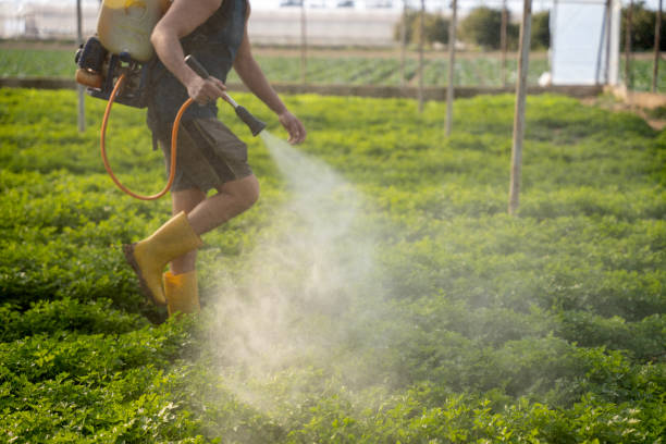 South Whittier, CA Pest Control Company