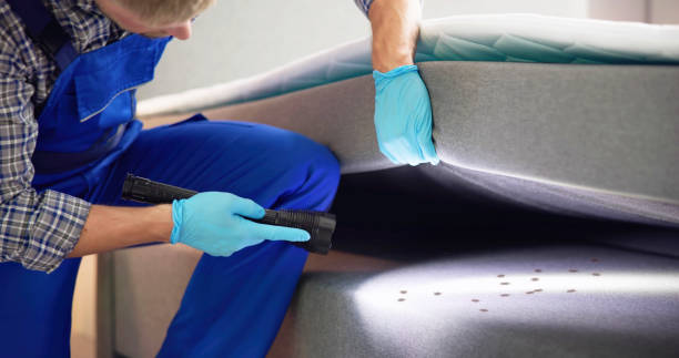 Best Termite Control Services  in South Whittier, CA